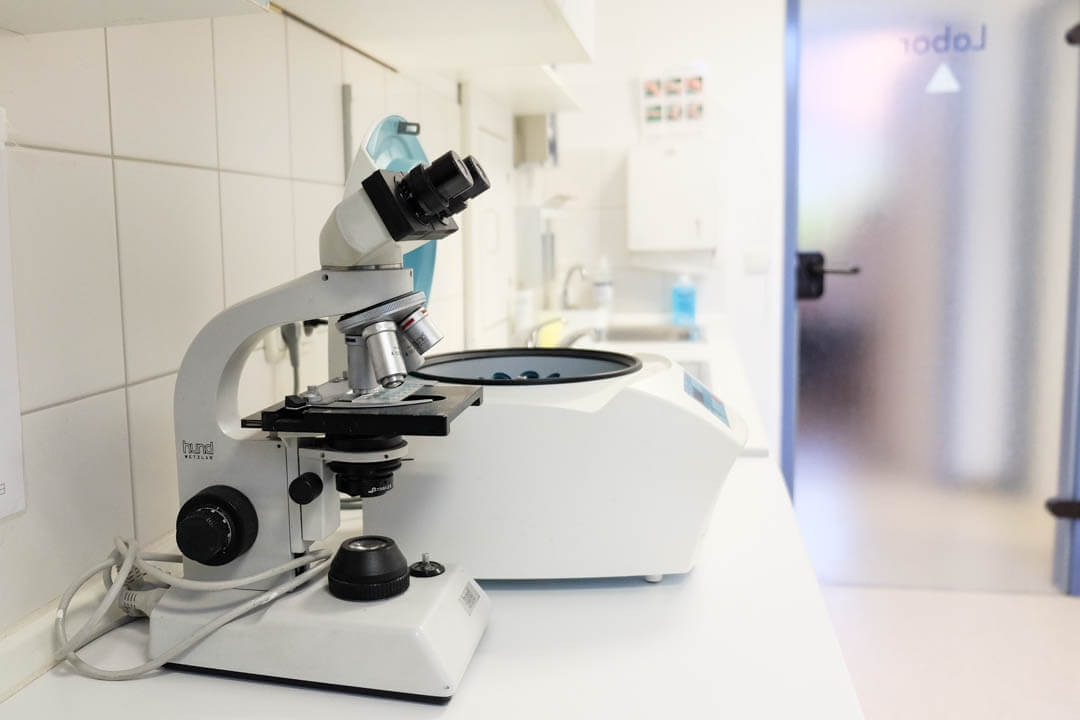 Urologie Landsberg-Labor Mikroskop